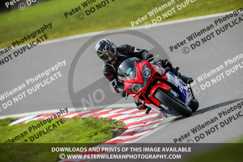 Oulton Park 21st March 2020;PJ Motorsport Photography 2020;anglesey;brands hatch;cadwell park;croft;donington park;enduro digital images;event digital images;eventdigitalimages;mallory;no limits;oulton park;peter wileman photography;racing digital images;silverstone;snetterton;trackday digital images;trackday photos;vmcc banbury run;welsh 2 day enduro